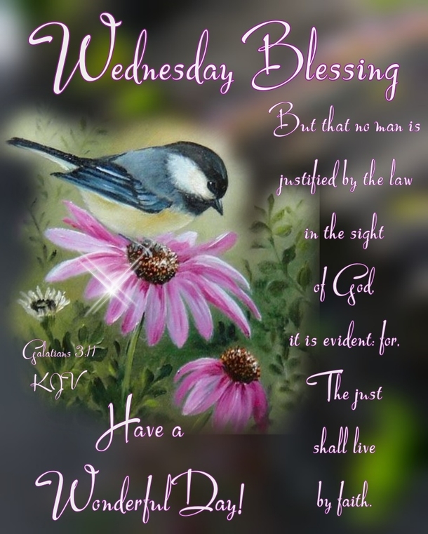 10 Scriptures & Quotes For A Blessed Wednesday - picture 7