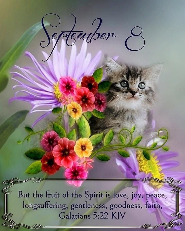 10 September 8 Pictures, Quotes And Sayings - picture 12