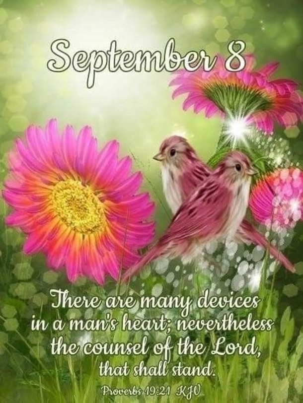 10 September 8 Pictures, Quotes And Sayings - picture 3