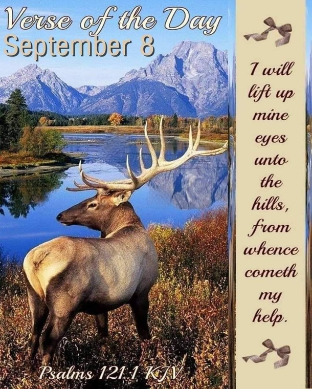 10 September 8 Pictures, Quotes And Sayings - picture 7