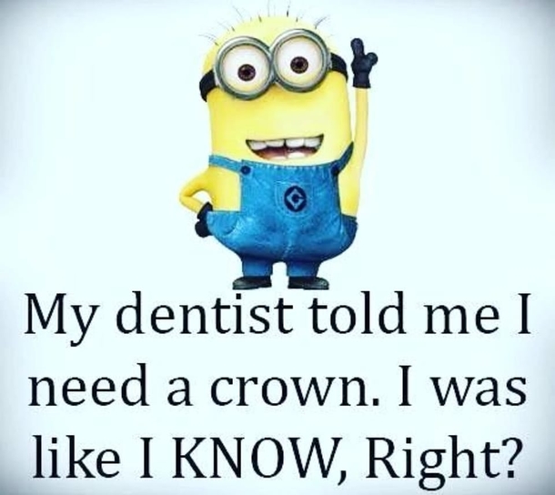 10+ Seriously Funny Minion Quotes To Make Your Life Fun And Amazing - picture 11