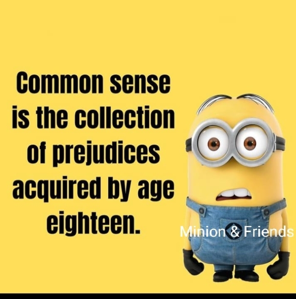 10+ Seriously Funny Minion Quotes To Make Your Life Fun And Amazing - picture 14