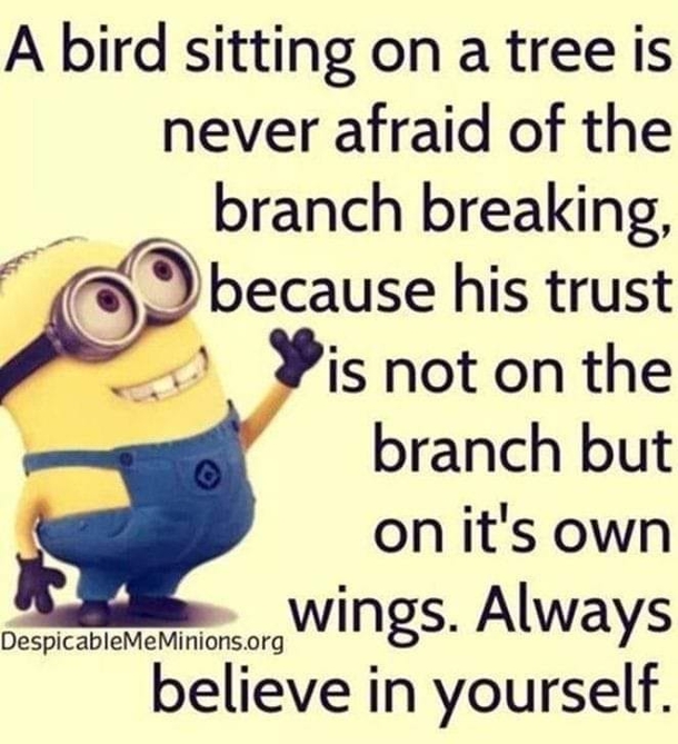 10+ Seriously Funny Minion Quotes To Make Your Life Fun And Amazing - picture 3