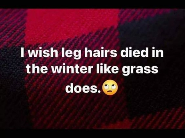10 Seriously Funny Quotes, Jokes And Memes For 2023 You Don't Want To Miss Out On - picture 10