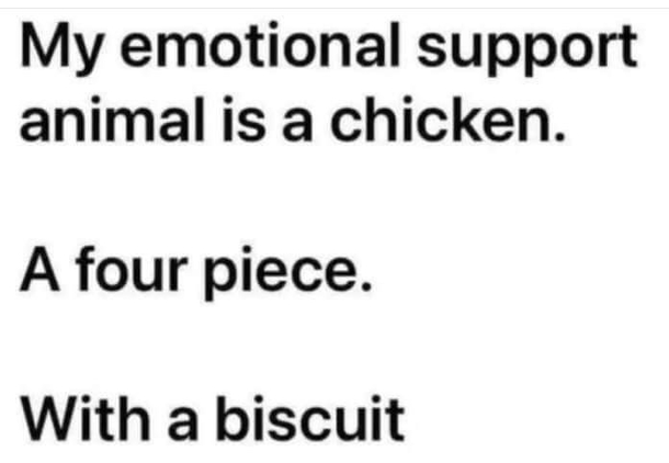 10 Seriously Funny Quotes, Jokes And Memes For 2023 You Don't Want To Miss Out On - picture 11