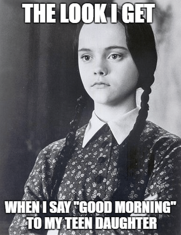 10 Seriously Relatable Teen Memes - picture 6