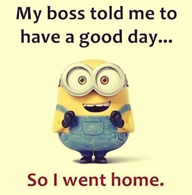 10 Seriously Very Funny Minion Quotes That May Apply To Your Daily Life - picture 3