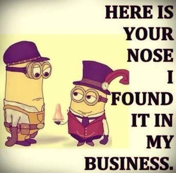 10 Seriously Very Funny Minion Quotes That May Apply To Your Daily Life - picture 4