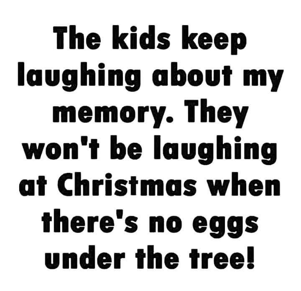 10 Short Funny Quotes And Jokes To Some Much Needed Humor To The Holidays - picture 3