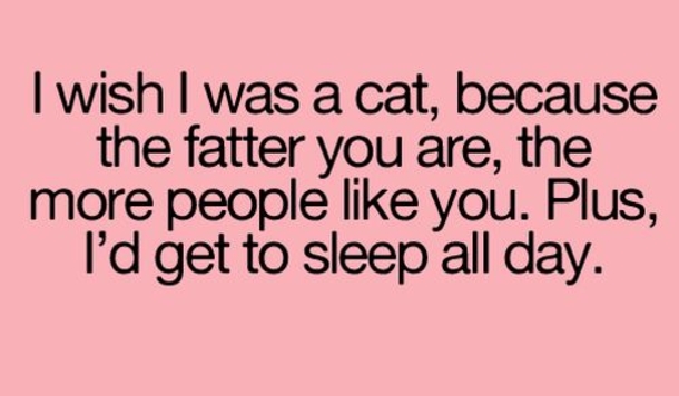 10 Short Funny Quotes, Sayings And Images - picture 12