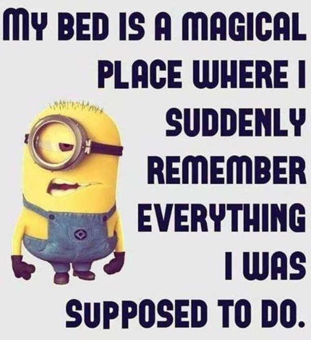 10 Short Funny Quotes, Sayings And Images - picture 3