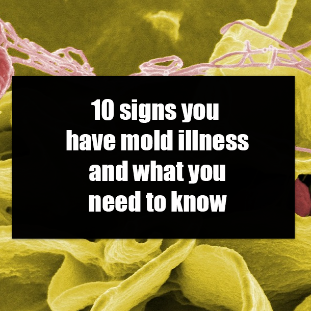 10 signs you have mold illness and what you need to know