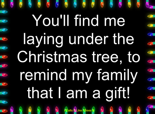 10 Silliest And Funniest Quotes For The Christmas Holiday - picture 4