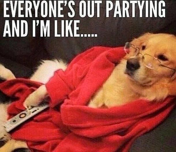 10 Silliest And Funniest Quotes For The Christmas Holiday - picture 5