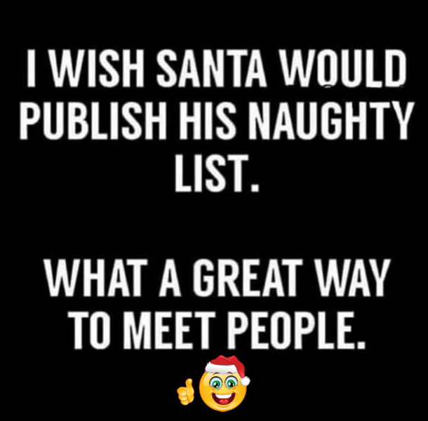10 Silliest And Funniest Quotes For The Christmas Holiday - picture 6