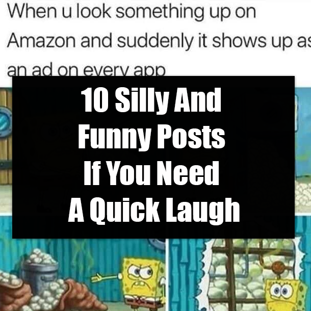 10 Silly And Funny Posts If You Need A Quick Laugh