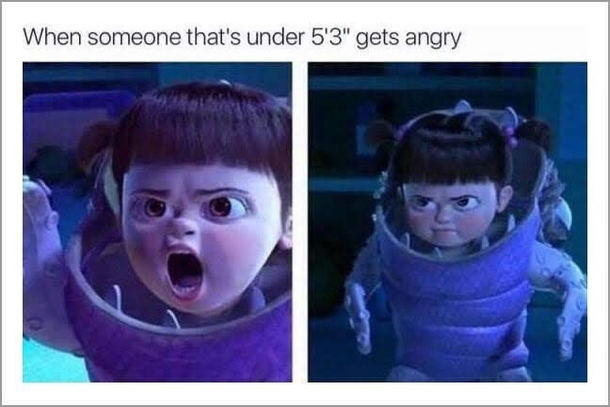 10 Silly And Funny Posts If You Need A Quick Laugh - picture 3