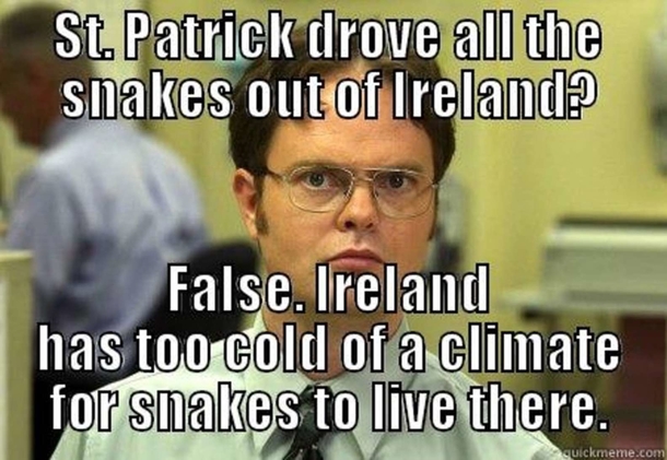 10 Silly But Funny St. Patrick's Day Memes To Bring The Humor Out Of You - picture 4