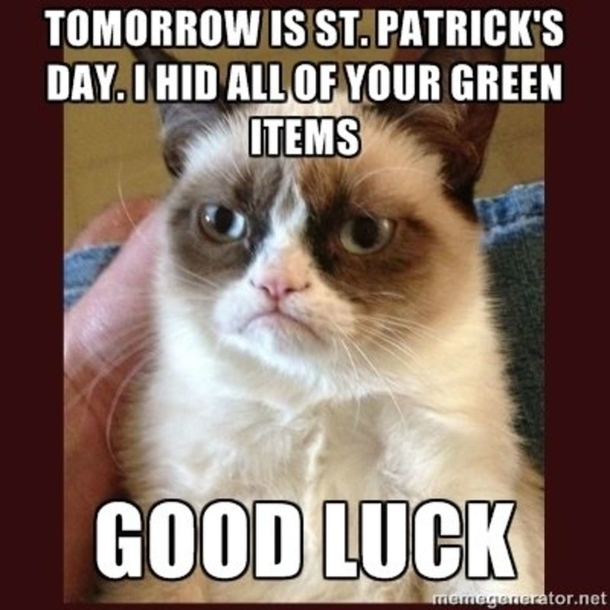 10 Silly But Funny St. Patrick's Day Memes To Bring The Humor Out Of You - picture 8