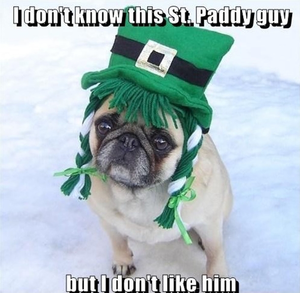 10 Silly But Funny St. Patrick's Day Memes To Bring The Humor Out Of You - picture 9