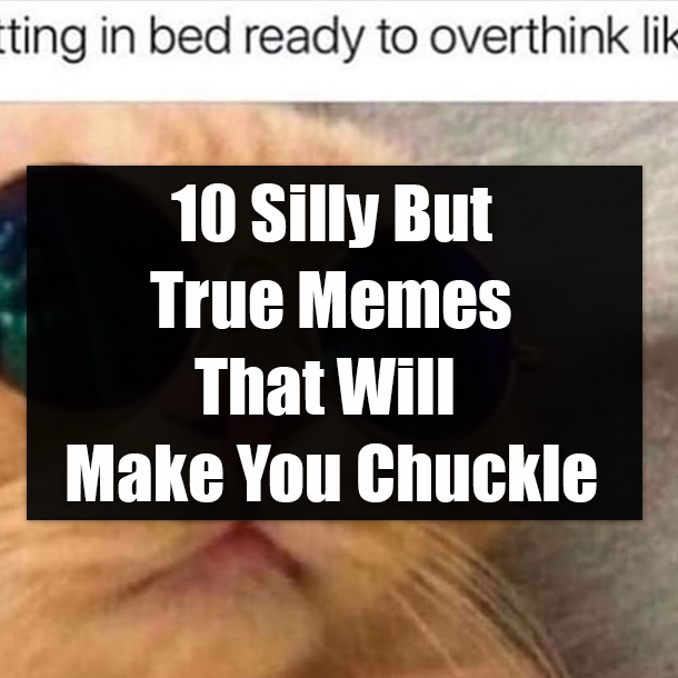10 Silly But True Memes That Will Make You Chuckle