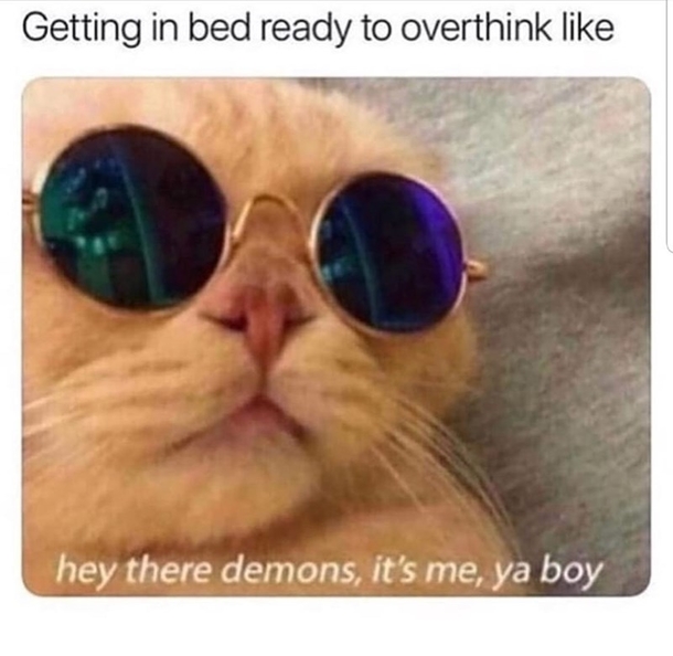 10 Silly But True Memes That Will Make You Chuckle - picture 8