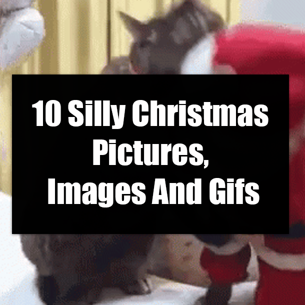 10 Silly Christmas Pictures, Images And Gifs