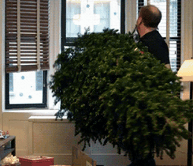 10 Silly Christmas Pictures, Images And Gifs - picture 10