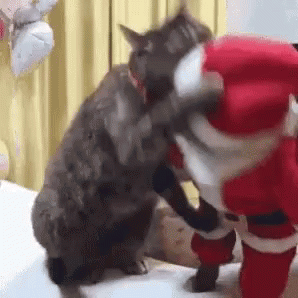 10 Silly Christmas Pictures, Images And Gifs - picture 2