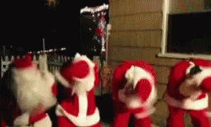 10 Silly Christmas Pictures, Images And Gifs - picture 3