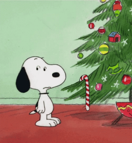 10 Silly Christmas Pictures, Images And Gifs - picture 6