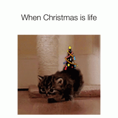 10 Silly Christmas Pictures, Images And Gifs - picture 7