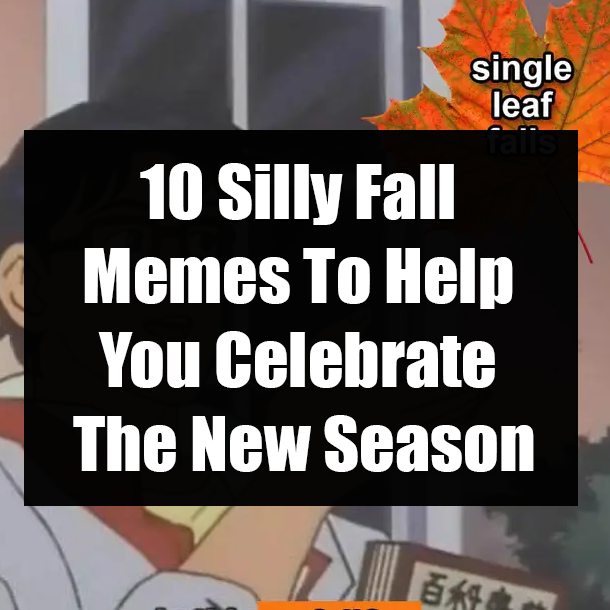 10 Silly Fall Memes To Help You Celebrate The New Season