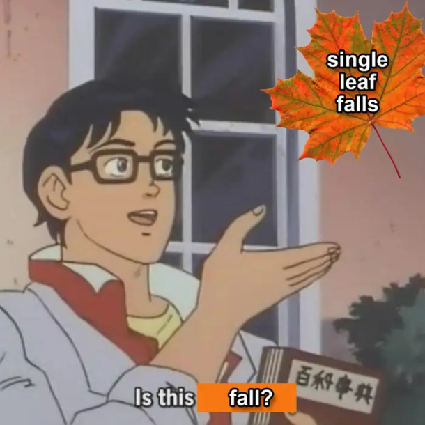 10 Silly Fall Memes To Help You Celebrate The New Season - picture 2