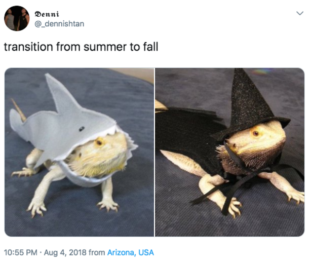 10 Silly Fall Memes To Help You Celebrate The New Season - picture 7