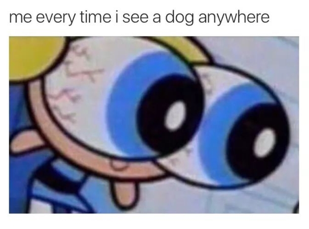 10 Silly Funny Memes That'll Make Your Day - picture 12