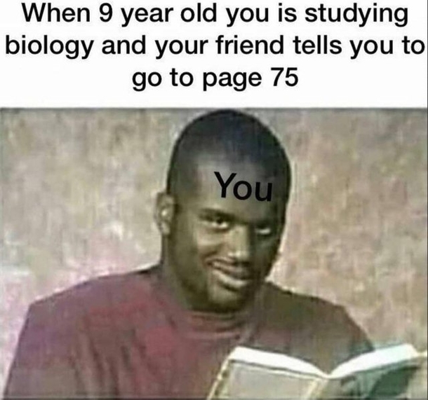 10 Silly Funny Memes That'll Make Your Day - picture 3