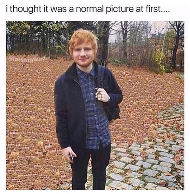 10 Silly Funny Memes That'll Make Your Day - picture 9