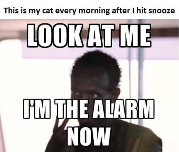 10 Silly Good Morning Memes To Make Your Day Happy - picture 5