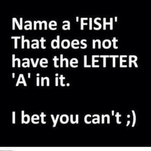 10 Silly Jokes To Make You Laugh Throughout The Day - picture 3