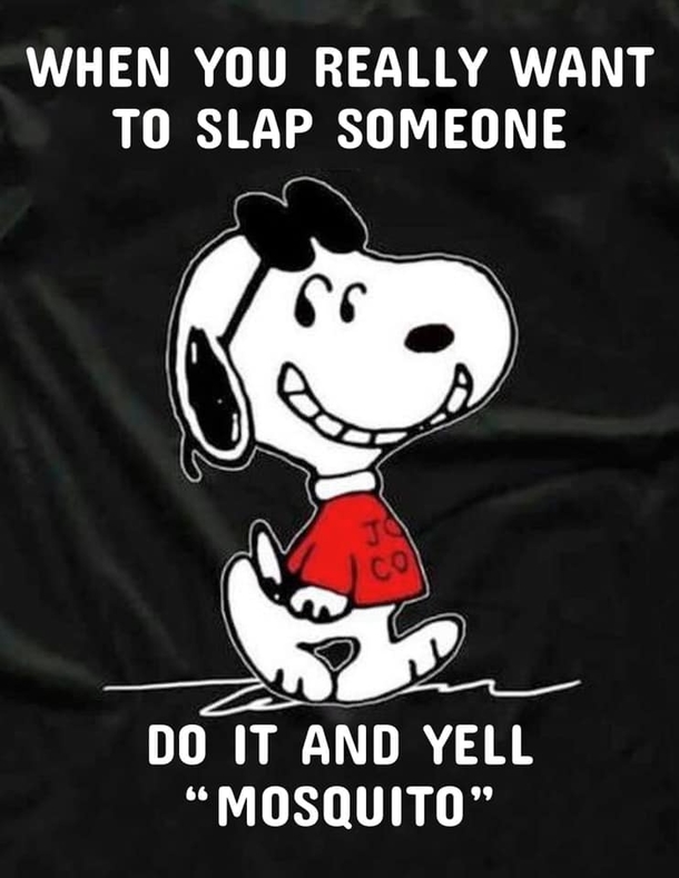 10 Silly Jokes To Make You Laugh Throughout The Day - picture 9