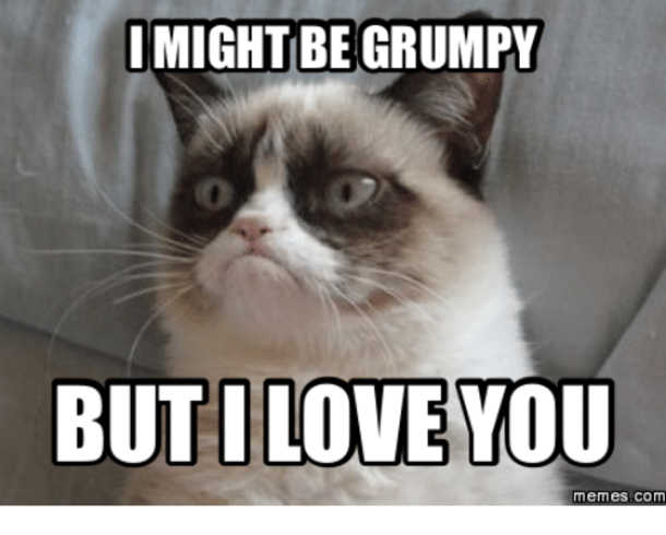 10 Silly Memes To Say I Love You - picture 5