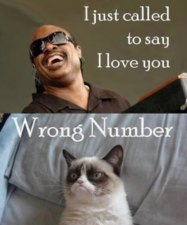 10 Silly Memes To Say I Love You - picture 7
