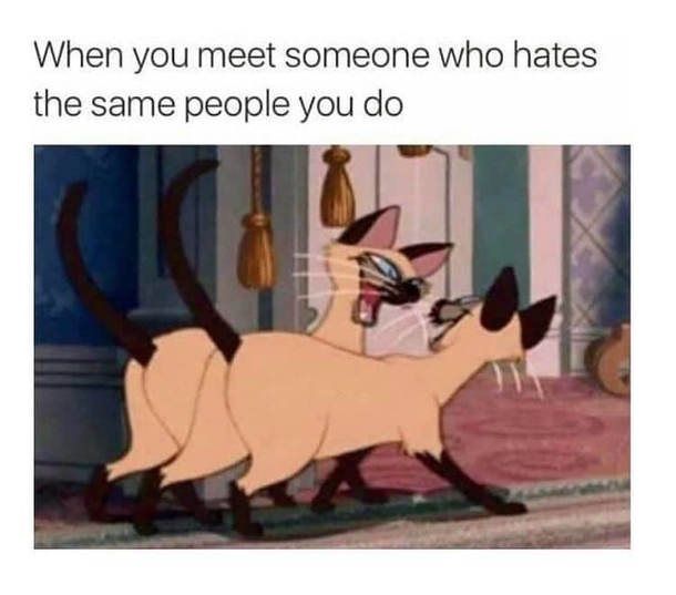 10 Silly Memes To Start Your Weekend With Laughter - picture 8