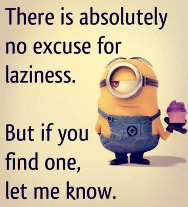 10 Silly Minion Quotes And Sayings - picture 9