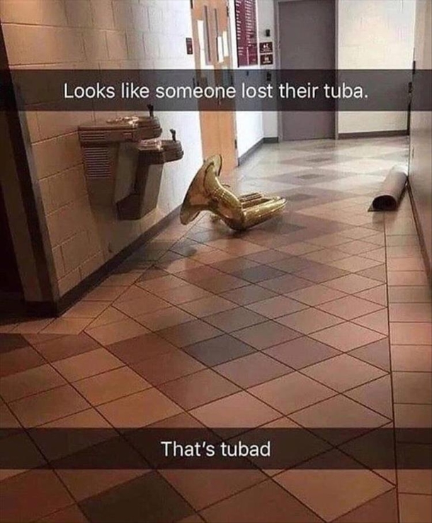 10 Silly Saturday Pictures That'll Bring Humor To Your Weekend - picture 4