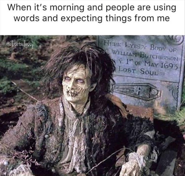 10 Silly Saturday Pictures That'll Bring Humor To Your Weekend - picture 6