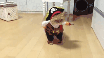 10 Silly & Funny Halloween Gifs - picture 5