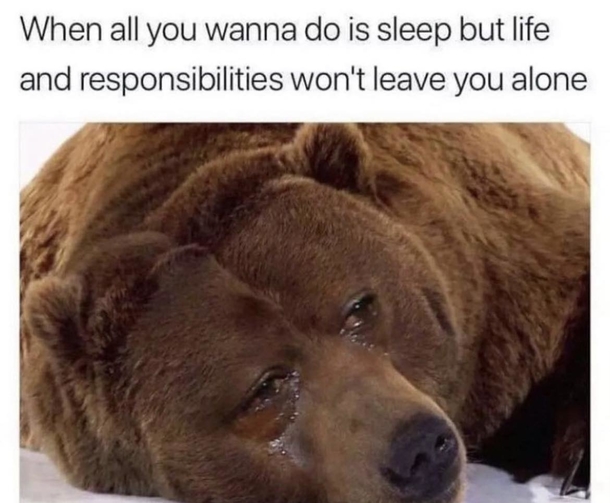 10 Silly & Very Funny Memes To Cater To Your Sense Of Humor - picture 3