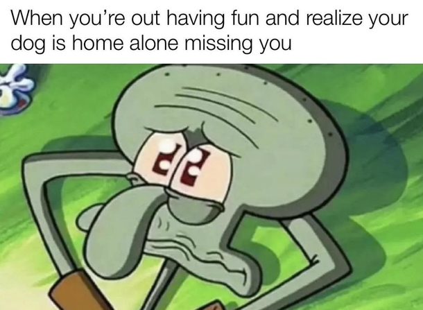 10 Silly & Very Funny Memes To Cater To Your Sense Of Humor - picture 7